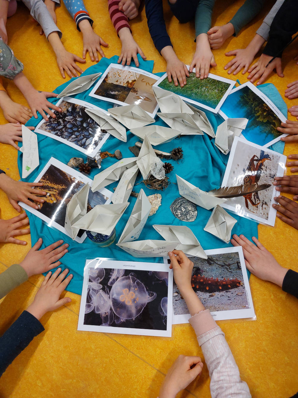 Projekttag Meer